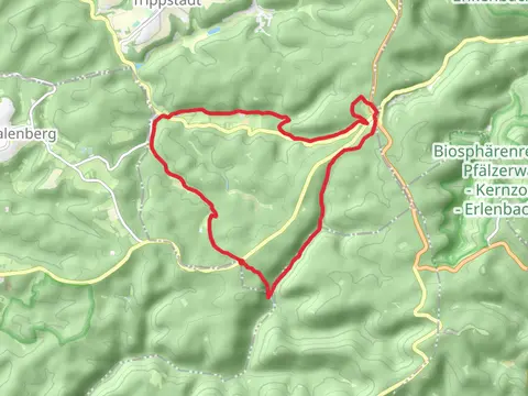 Meisertal Loop via Lauberwald