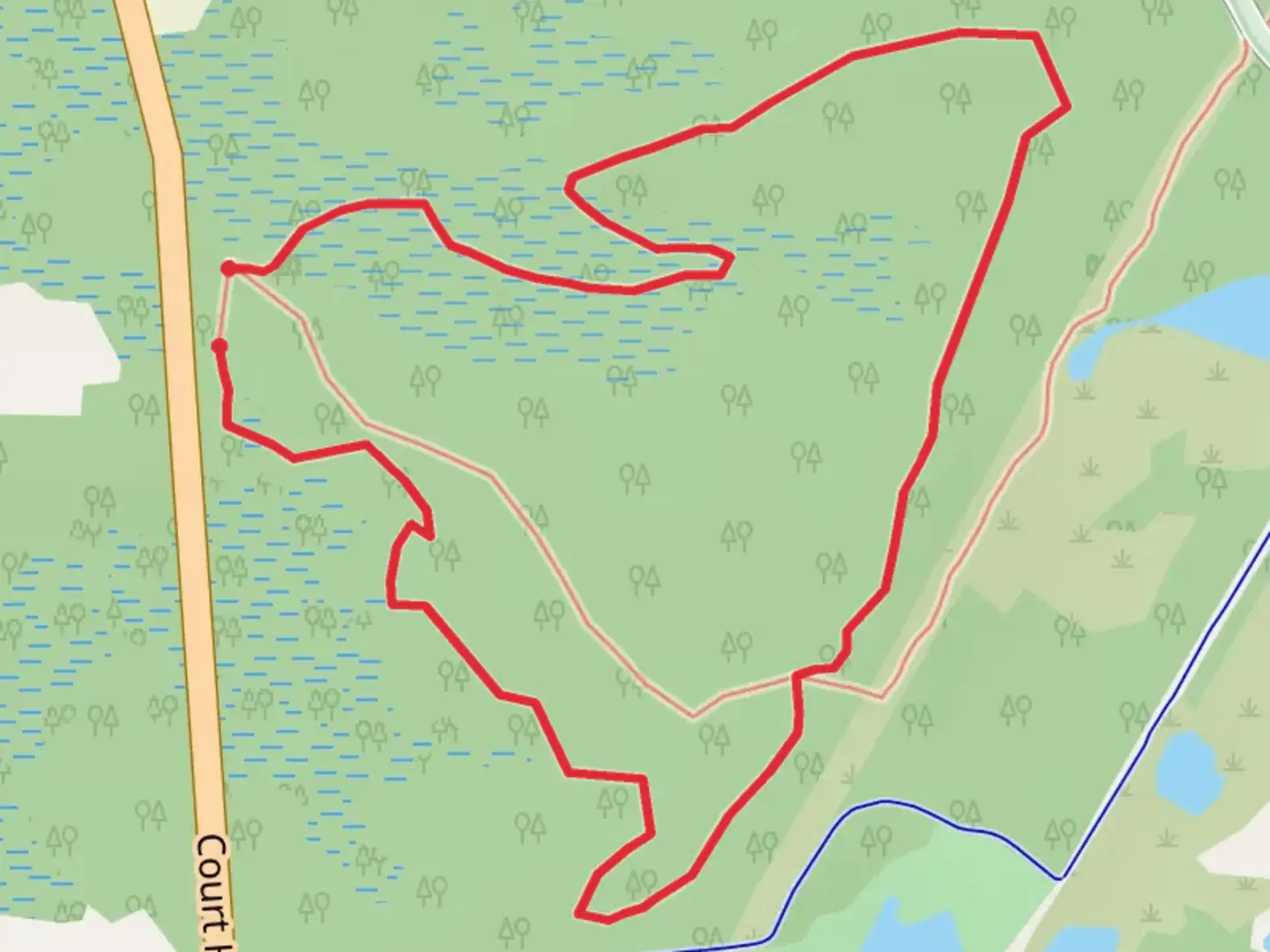 An image depicting the trail NJ State Long Trail, Lizard Tail Swamp Yellow Trail and Blue Trail Loop and its surrounding area.