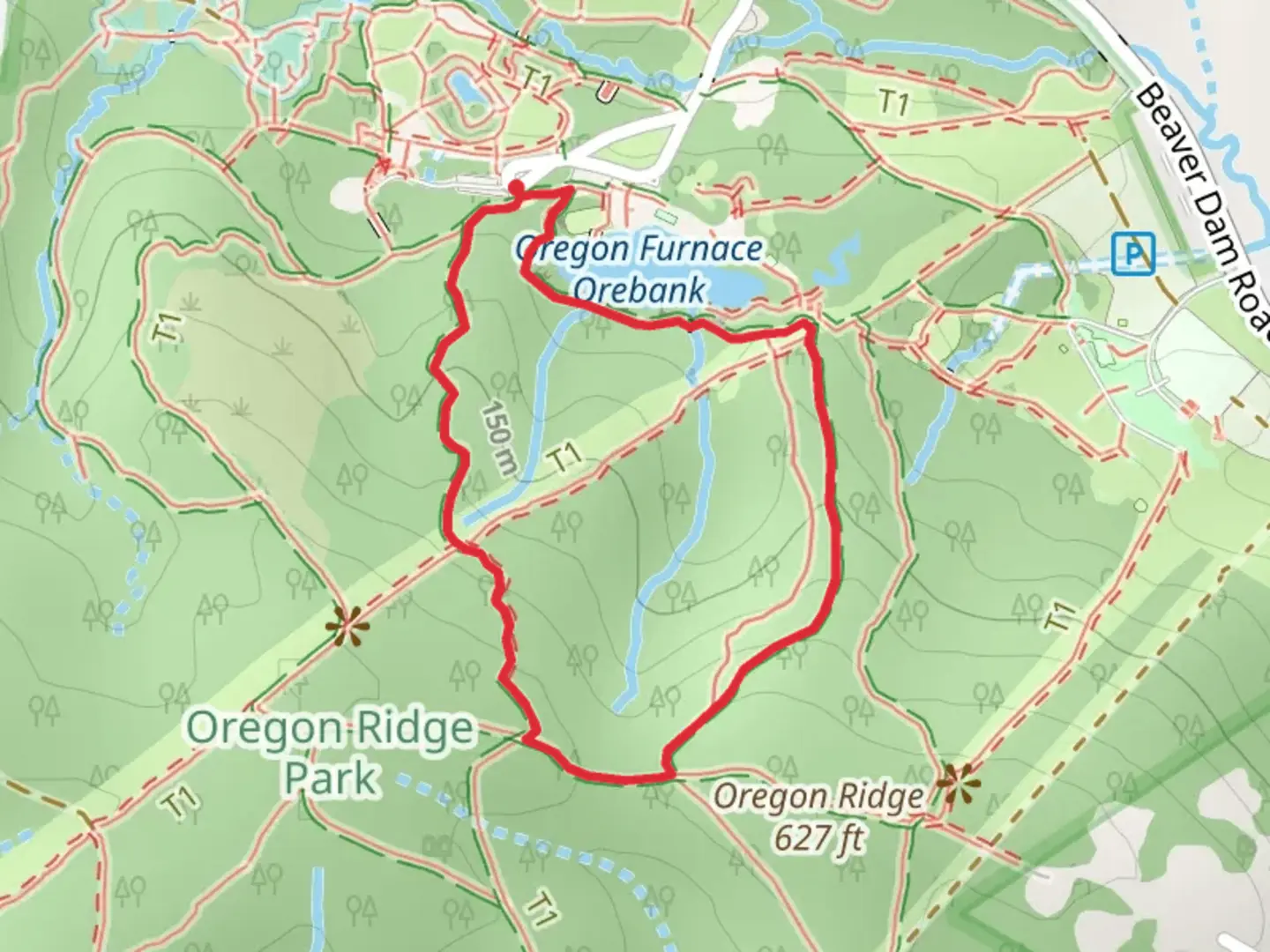 An image depicting the trail Lake, Virginia Pine and Laurel Loop Trail and its surrounding area.