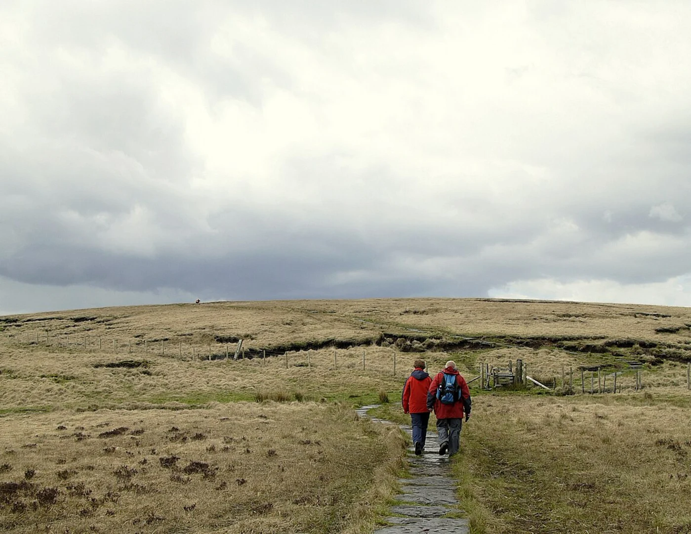 An image depicting the trail Black Brook and Great Hill Loop and its surrounding area.