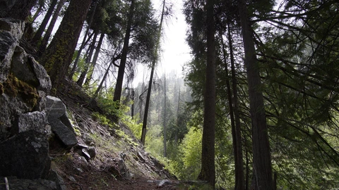 An image depicting the trail Lower Mad River Maverick Peak and its surrounding area.
