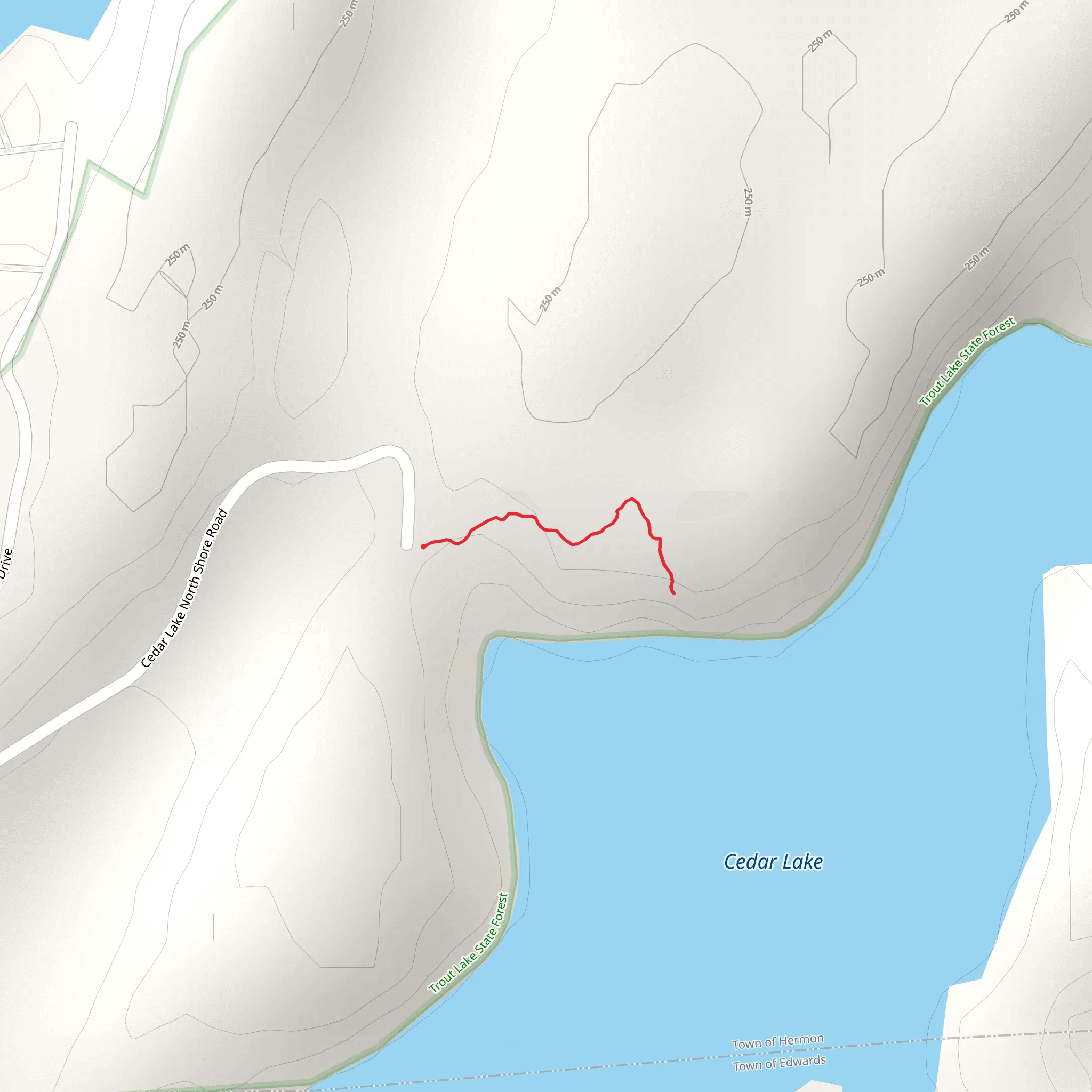 Cedar Lake from Cedar Lake Road mobile static map