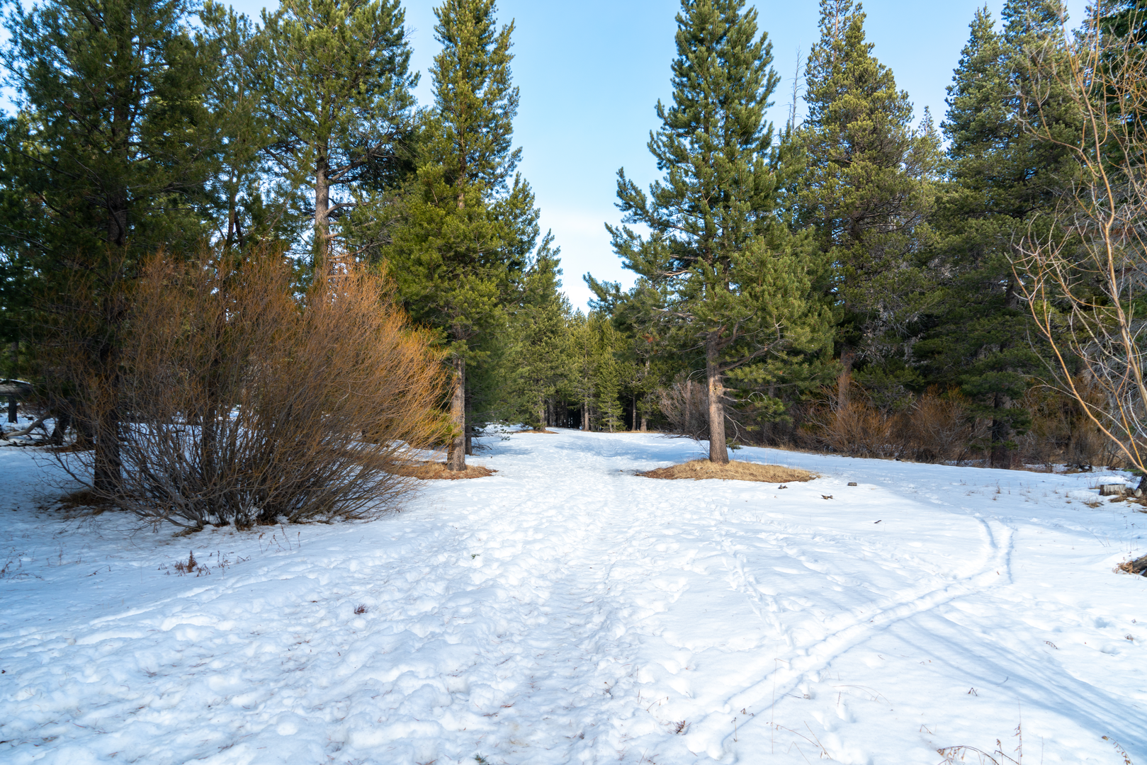 An image depicting the trail Angora Creek and Upper Truckee River and its surrounding area.