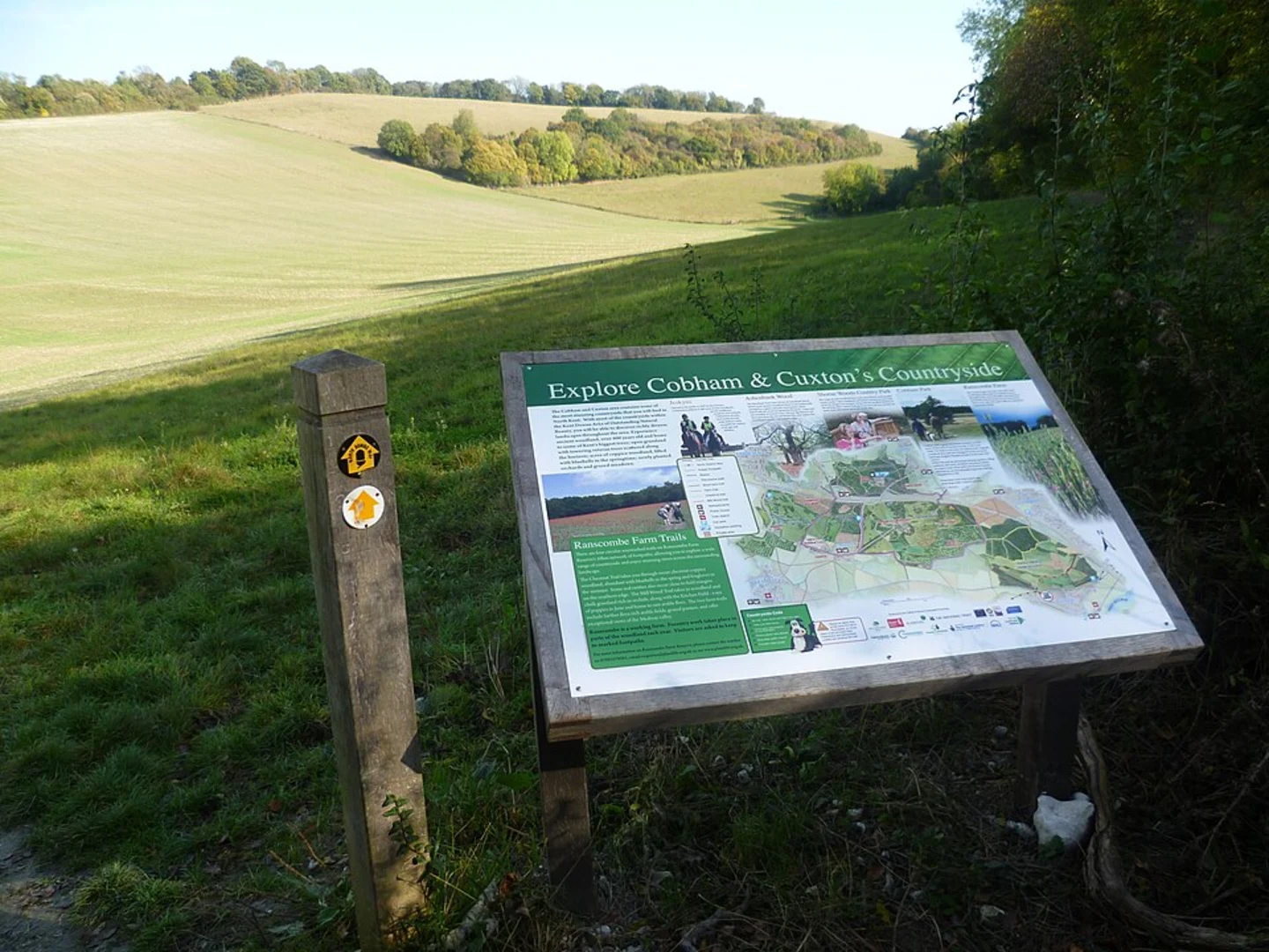 An image depicting the trail Ranscombe Farm and Great Wood Loop - Cuxton Brickfield and its surrounding area.