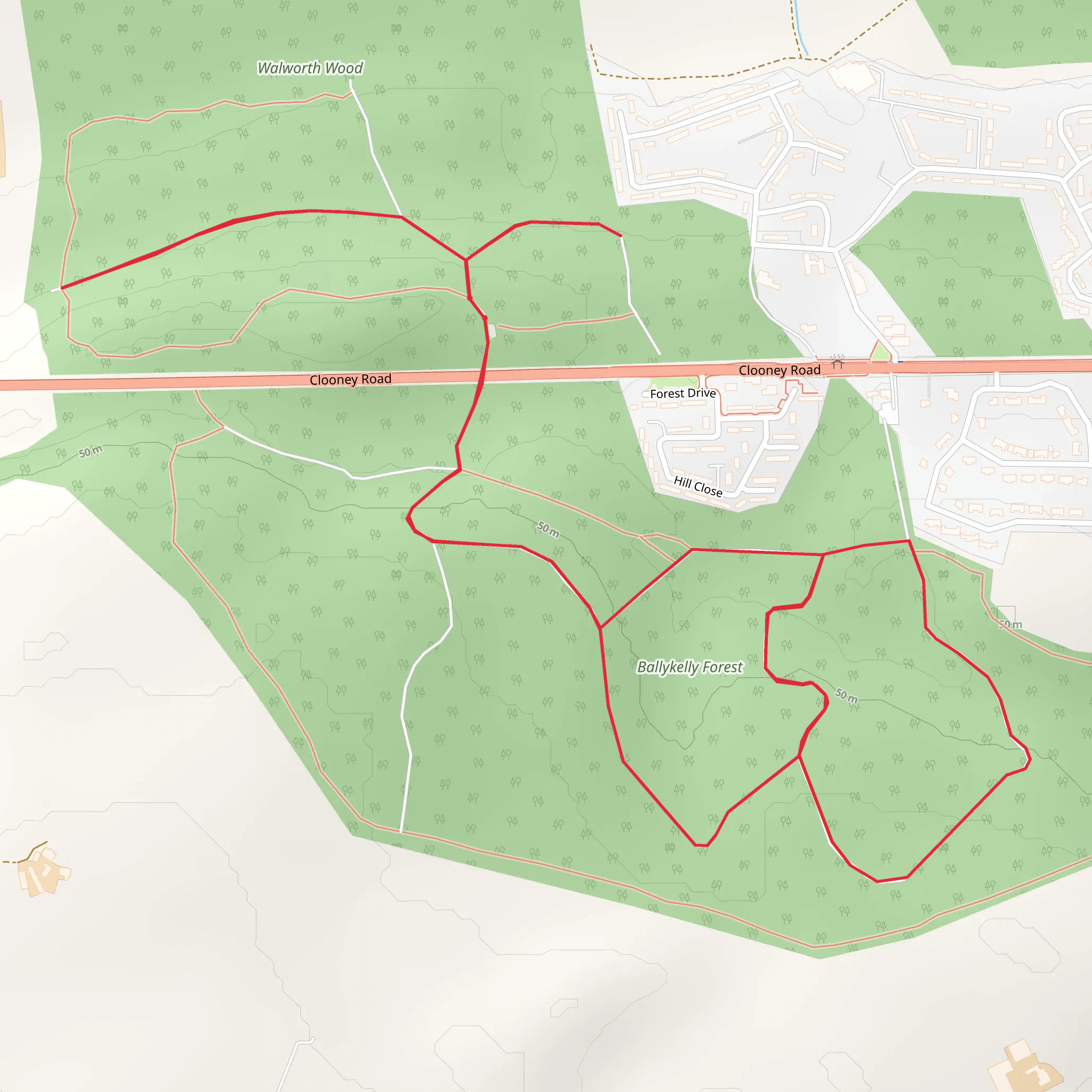 Ballykelly Forest mobile static map