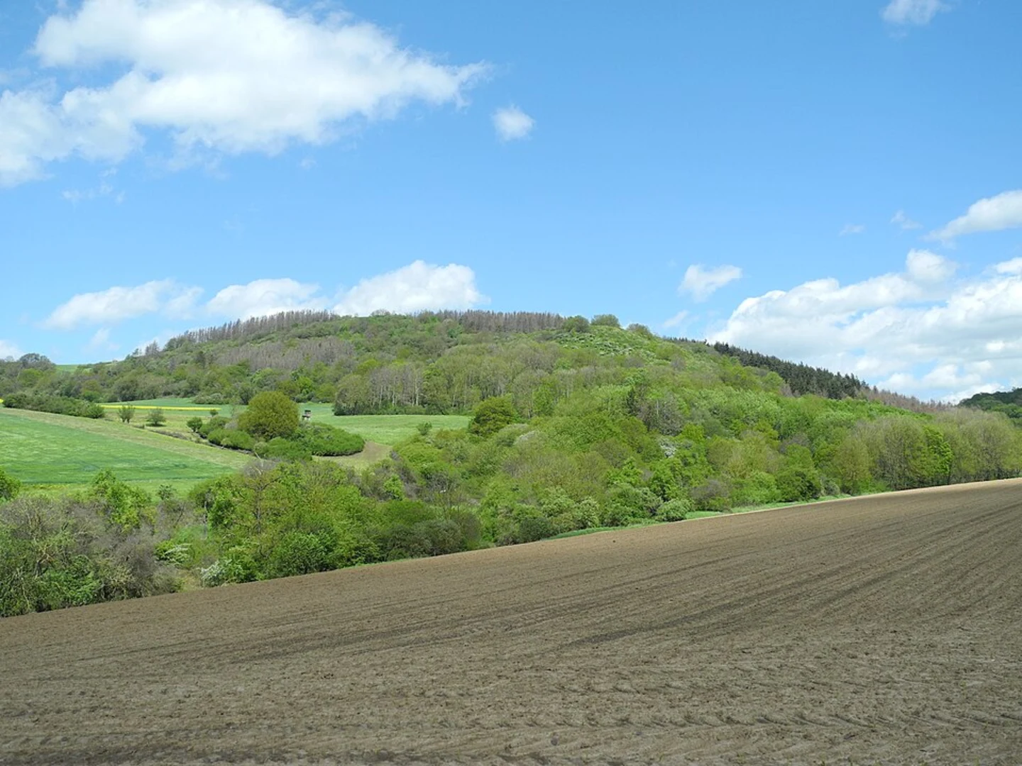 An image depicting the trail Mosenberg Loop and its surrounding area.