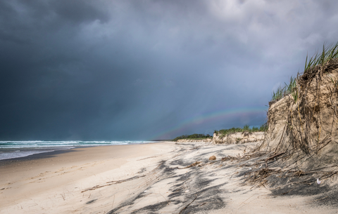 An image depicting the trail Teewah Beach Walk and its surrounding area.