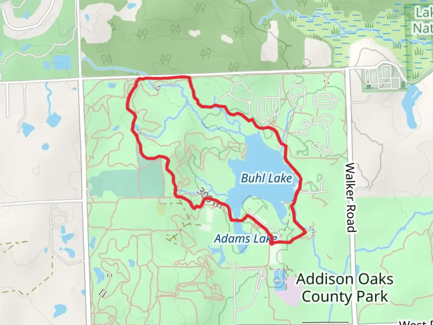 An image depicting the trail Buhl Lake Loop and its surrounding area.