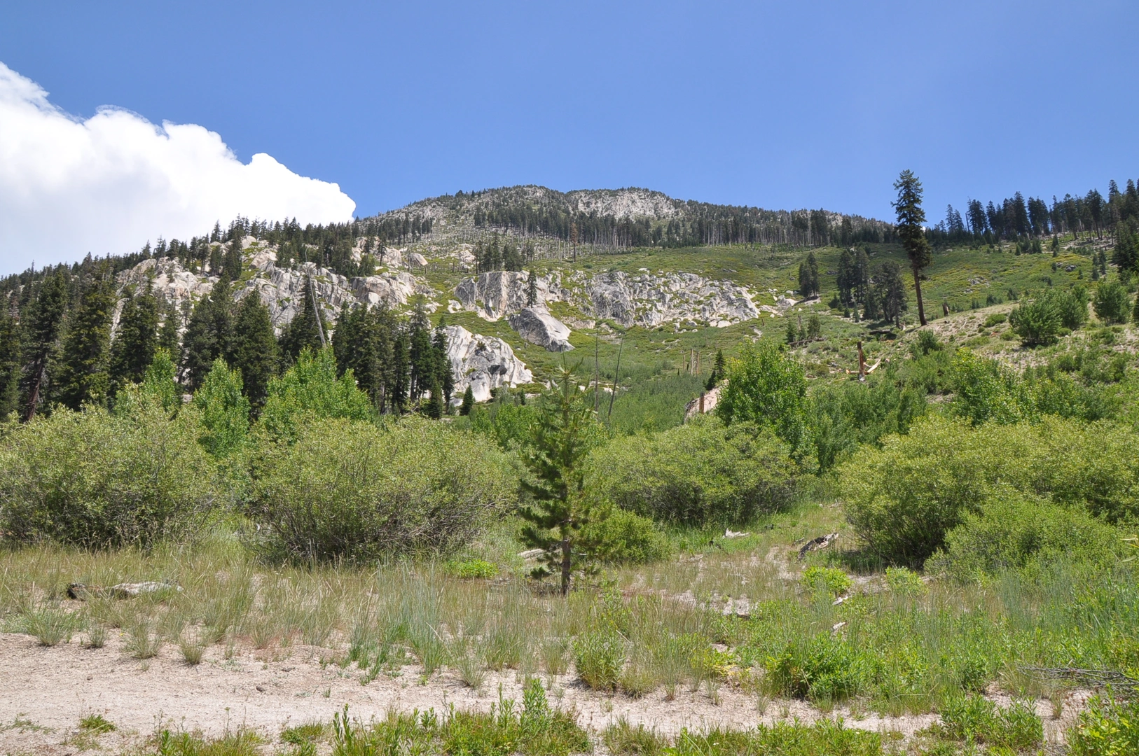 An image depicting the trail Sotcher Lake Loop and its surrounding area.