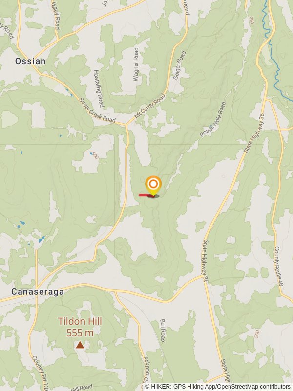 Canaseraga Creek Out and Back mobile static map