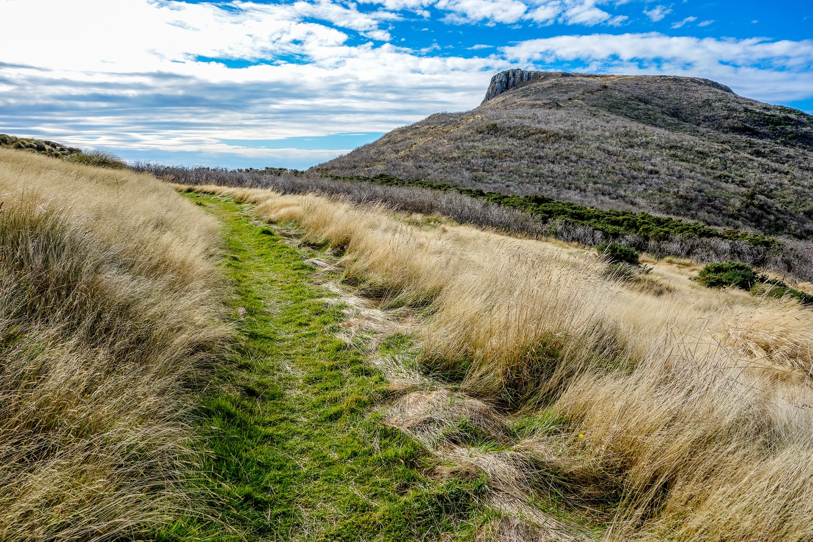 An image depicting the trail Tara Track to Stony Bay Peak and its surrounding area.
