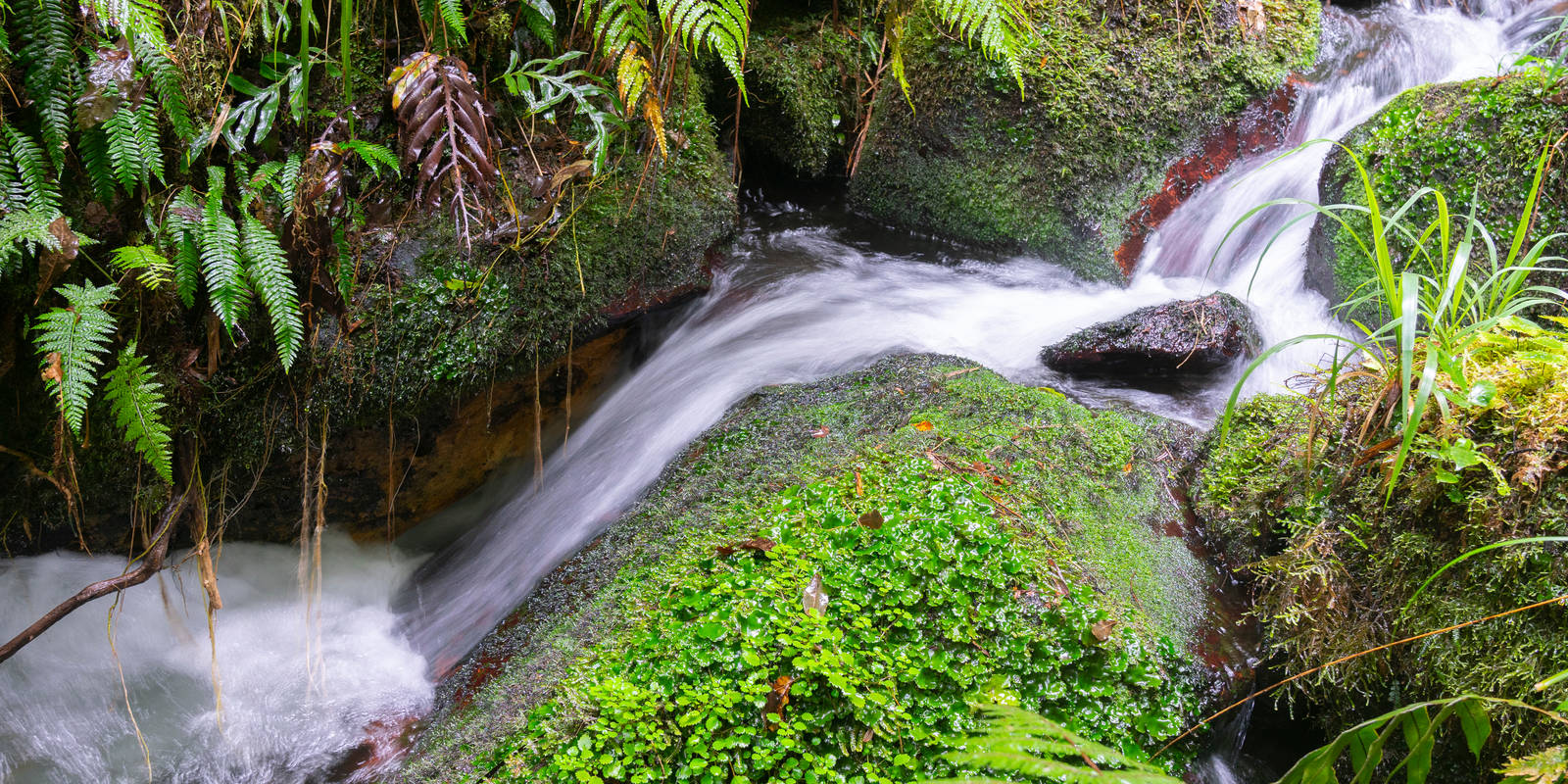 Wairēinga Bridal Veil Falls trail stages
