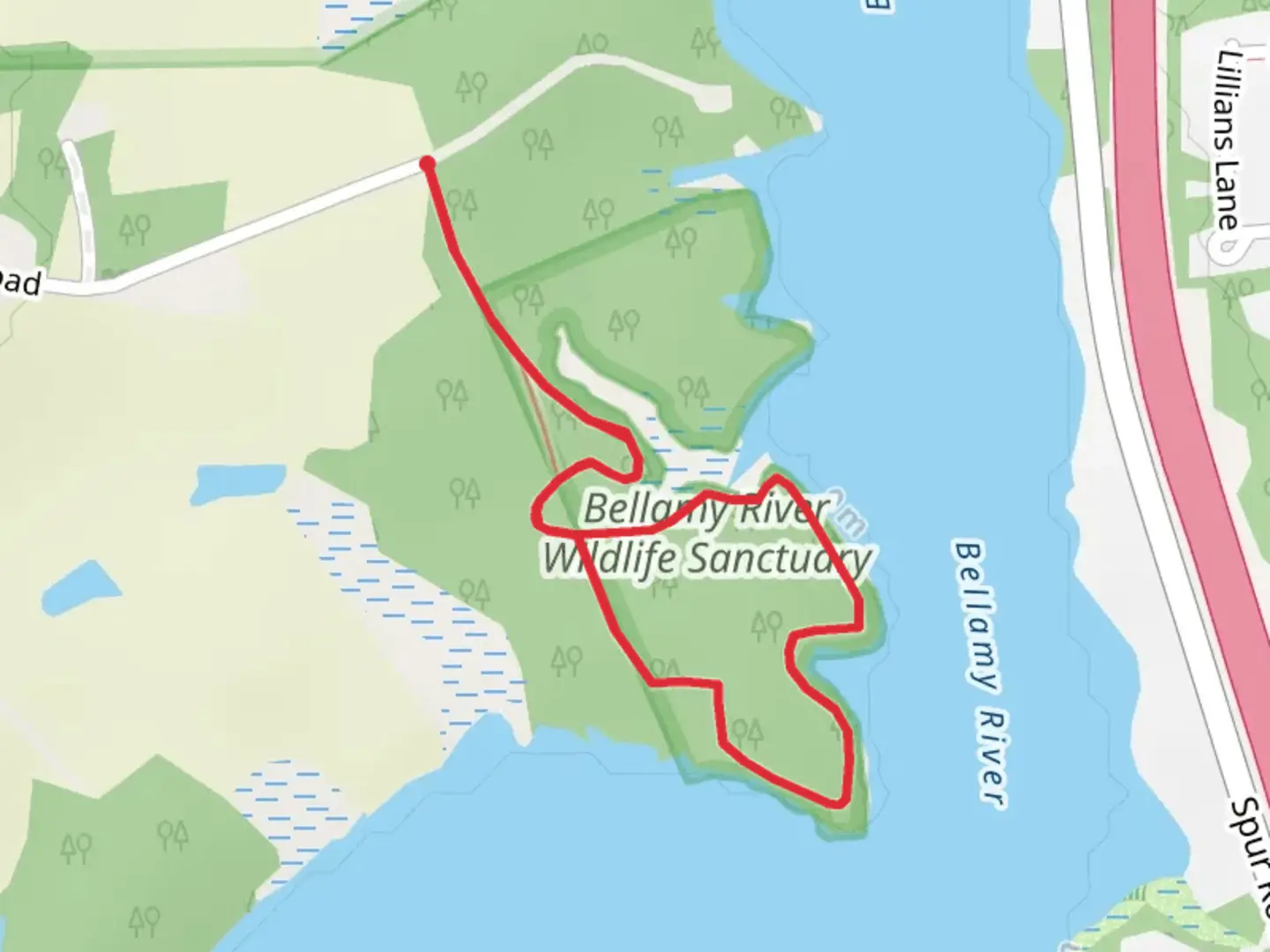 An image depicting the trail Bellamy River Wildlife Sanctuary Loop and its surrounding area.