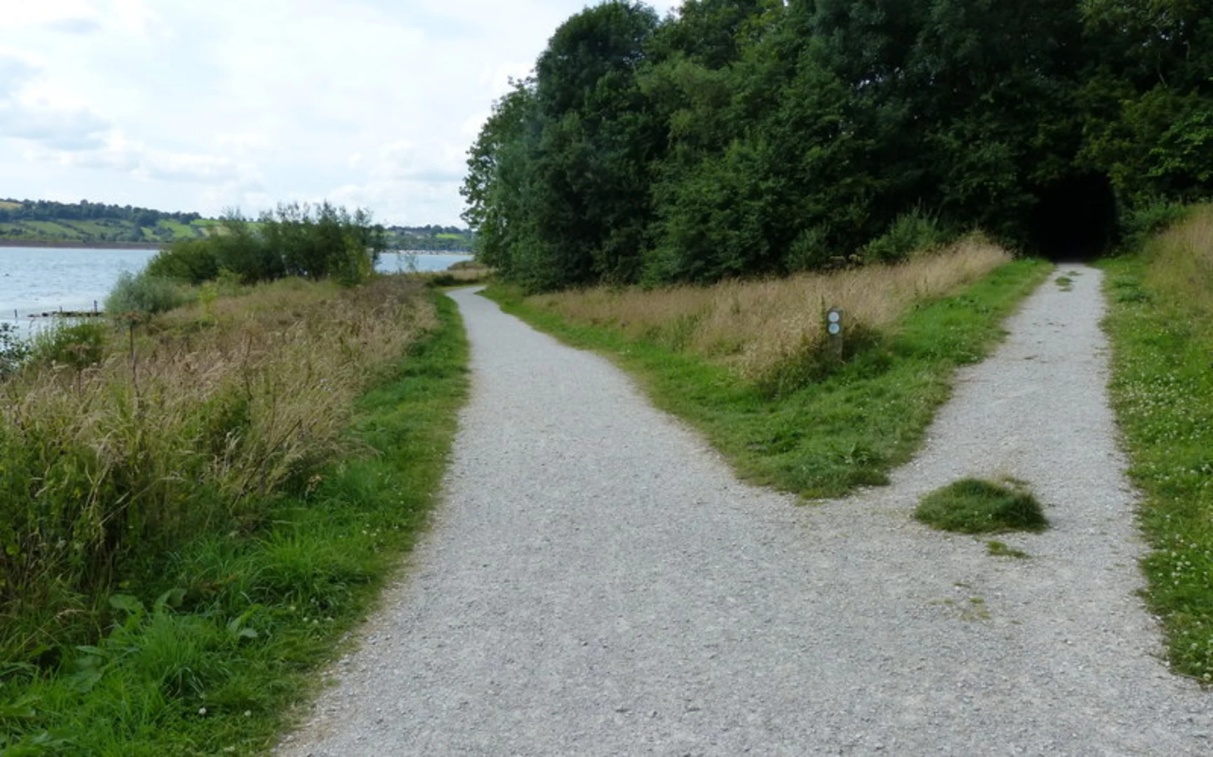 An image depicting the trail Carsington Water and Kirk Ireton Loop and its surrounding area.