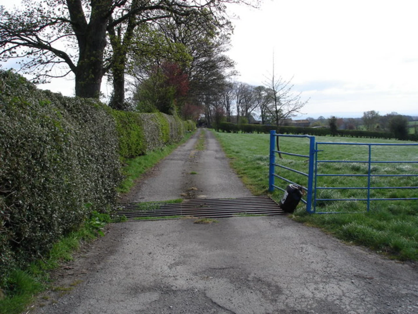 An image depicting the trail Leyburn to Harmby Loop and its surrounding area.