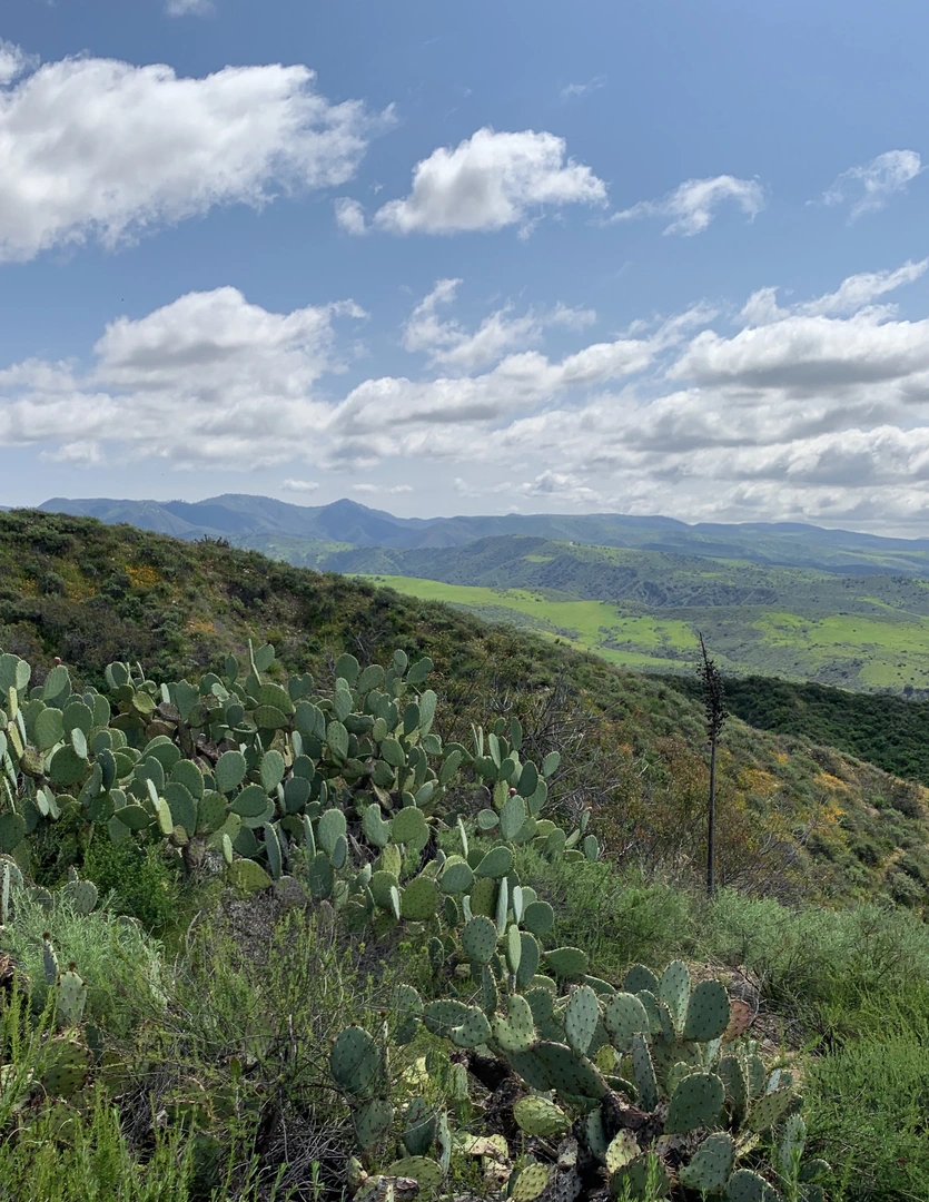 An image depicting the trail Quail Run - Bell Canyon Loop Trail and its surrounding area.