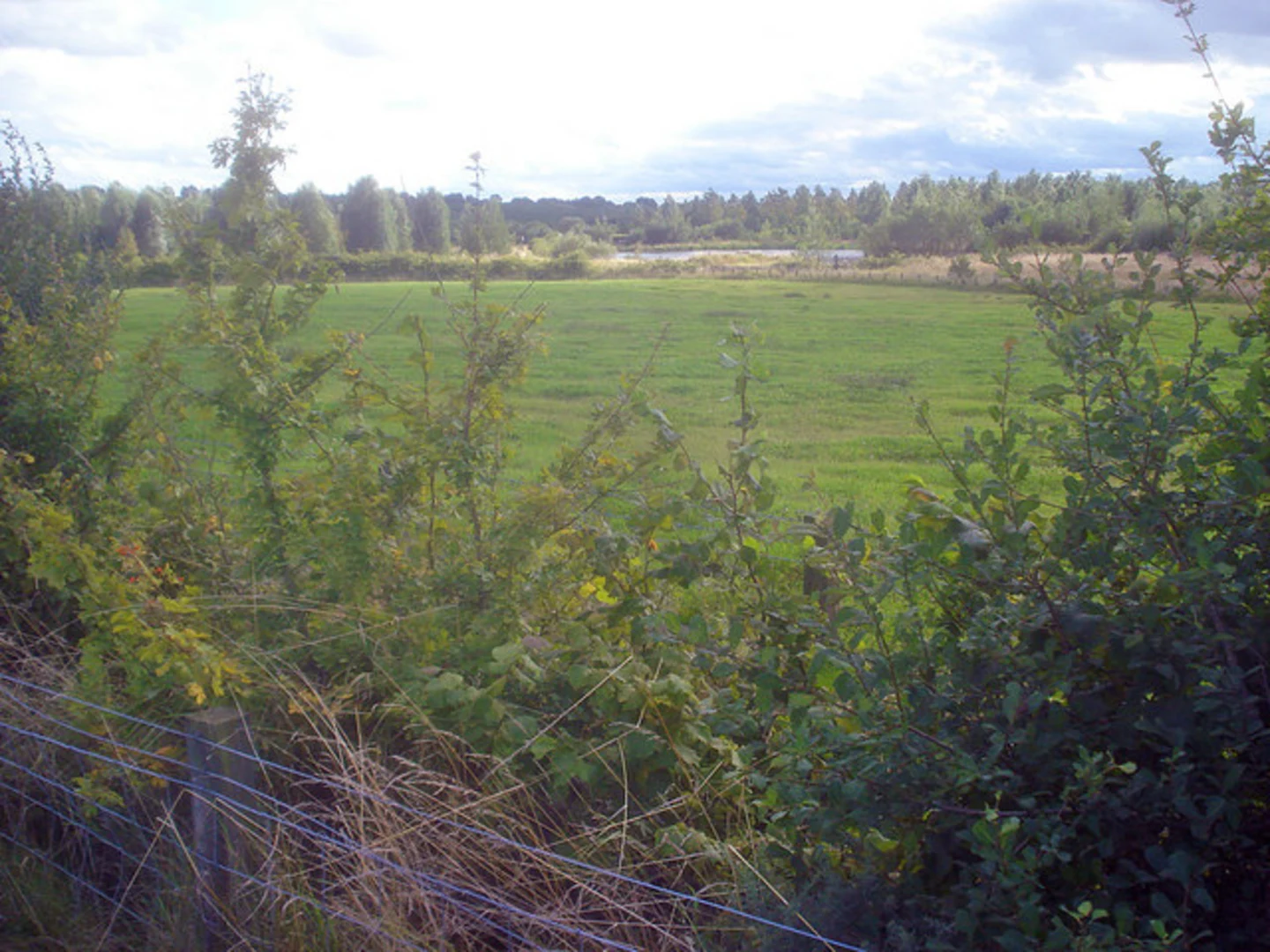 An image depicting the trail Sence Valley Forest Park Loop Walk and its surrounding area.