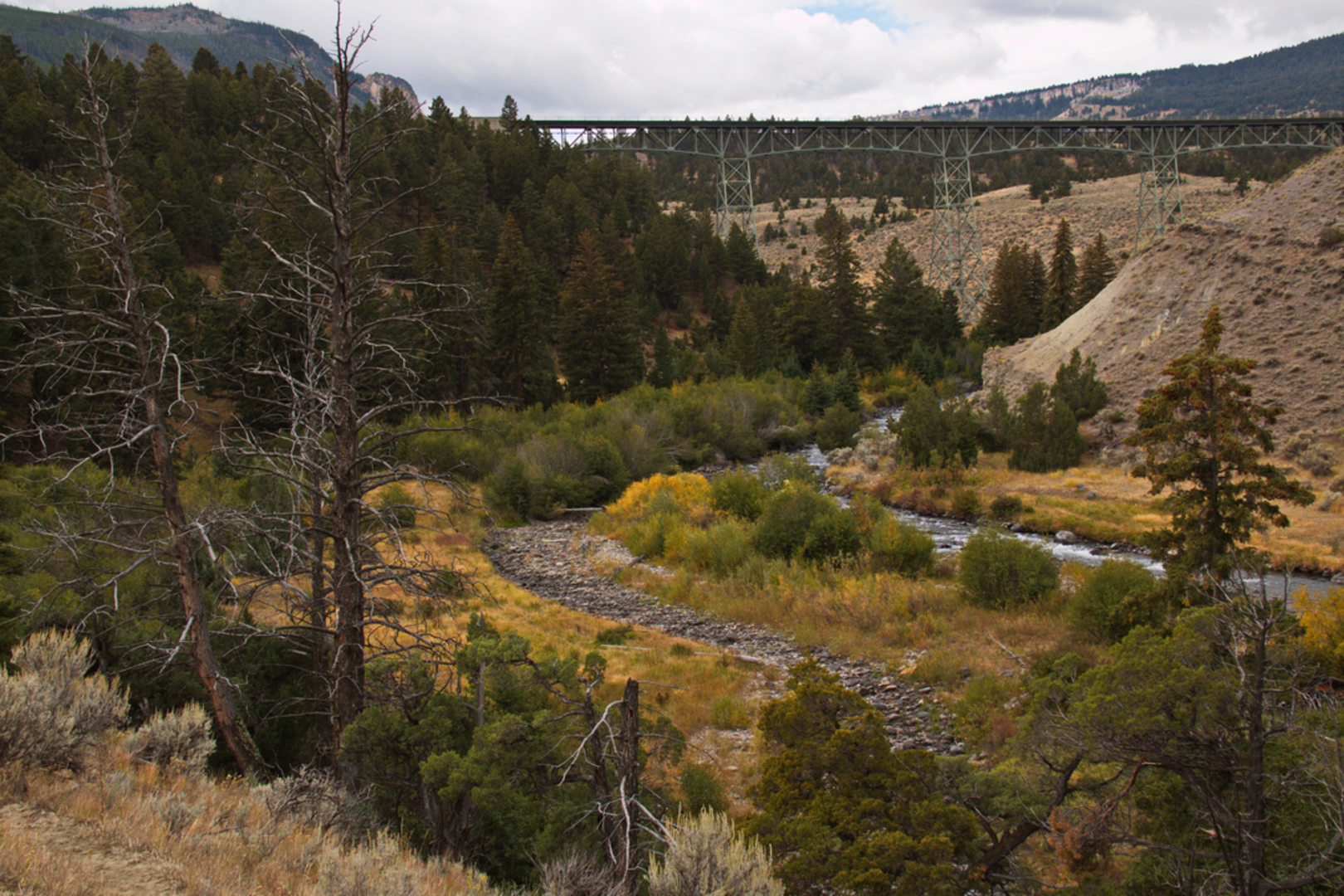 An image depicting the trail Lava Creek Trail and its surrounding area.
