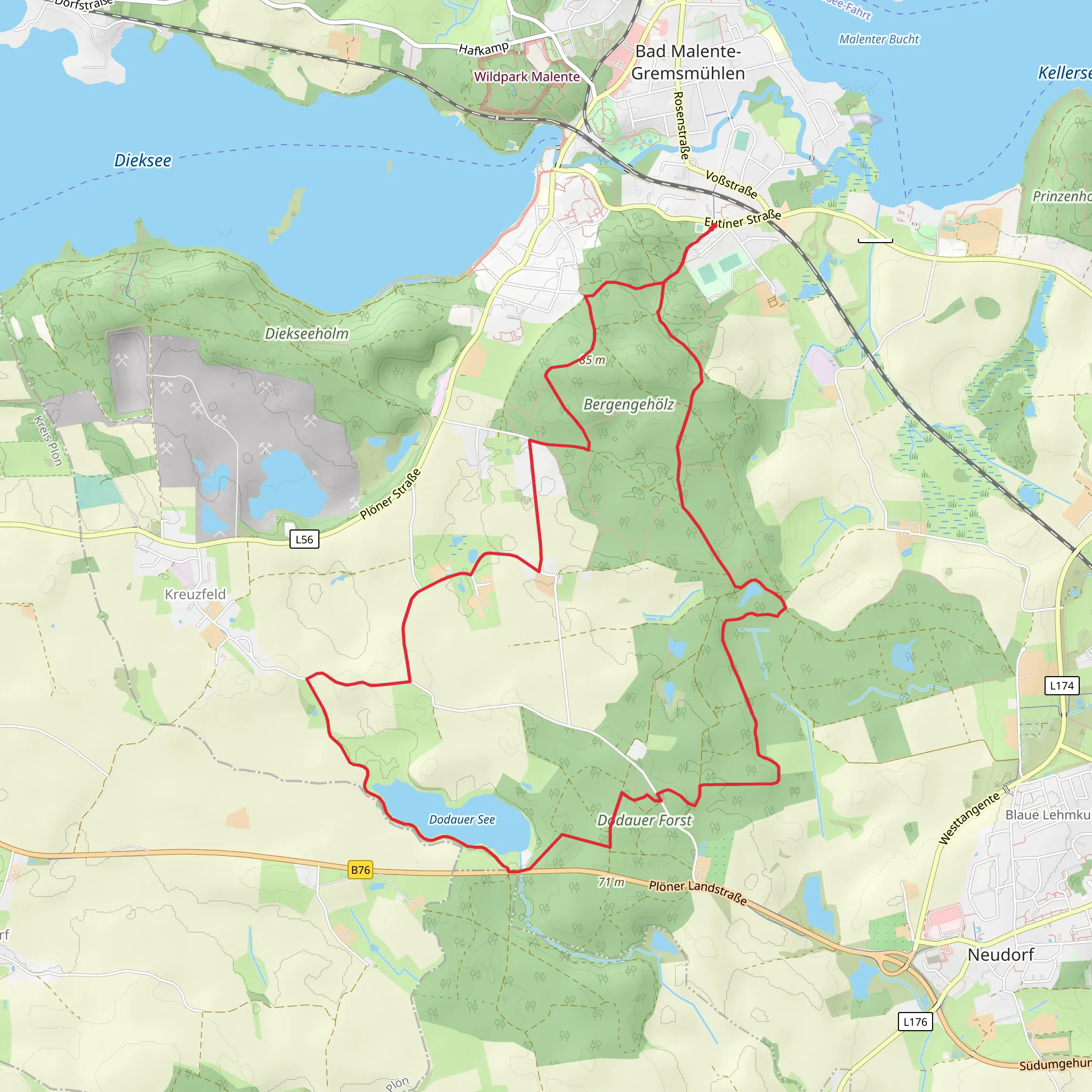 Dodauer Forest and Dodauer See Loop mobile static map