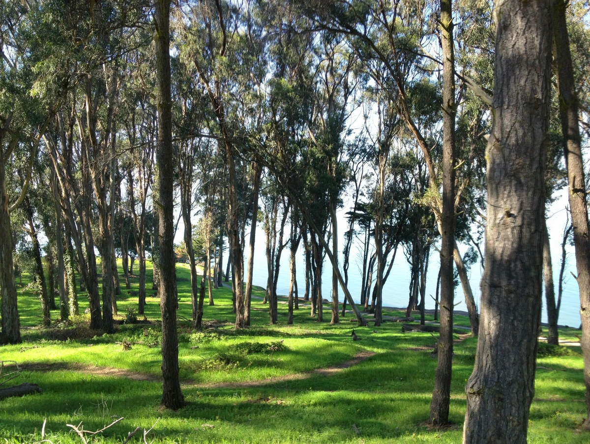 San Francisco Bay Trail - Short