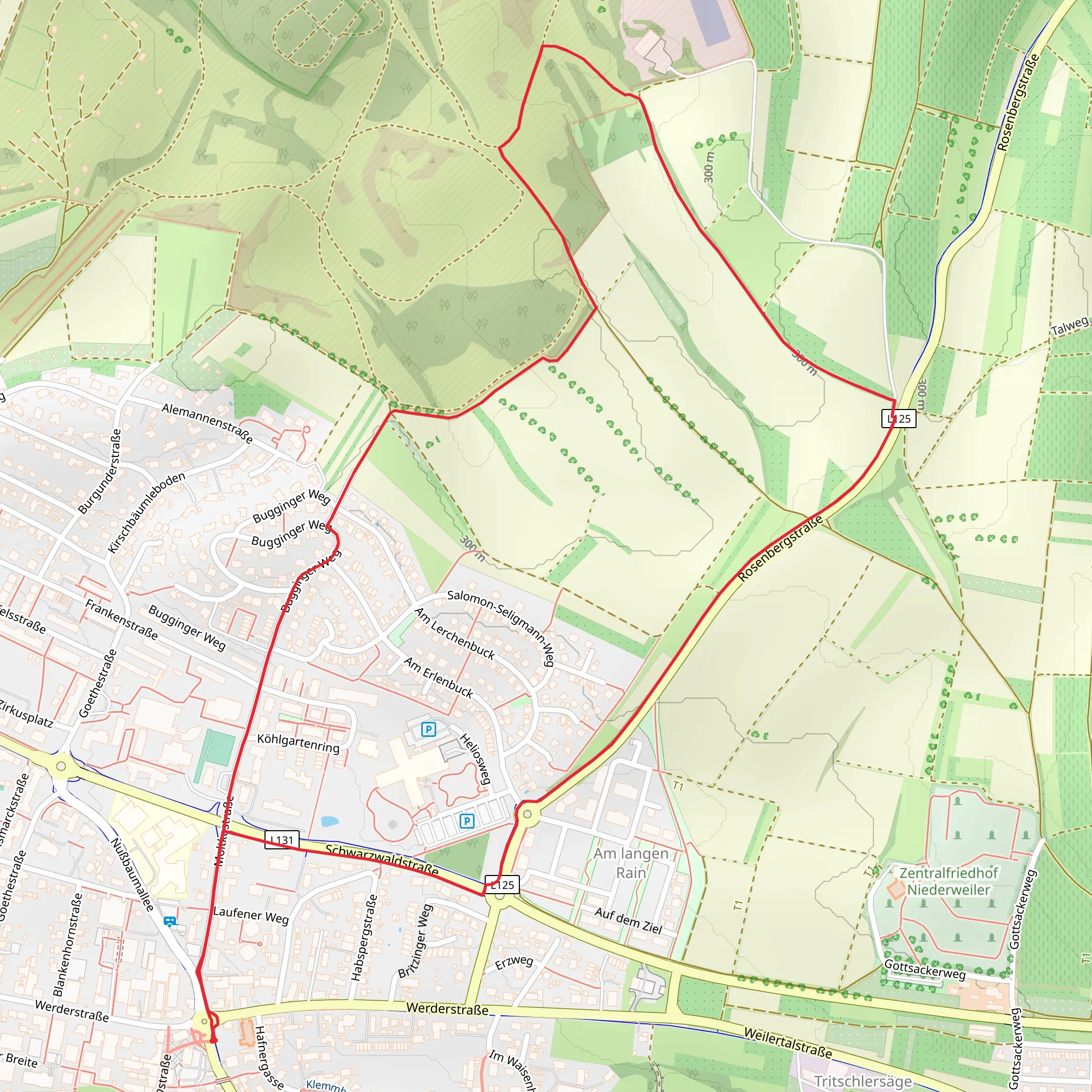 Muellheim im Markgraeflerland Loop mobile static map