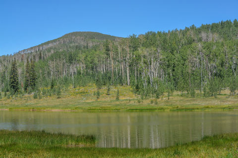 An image depicting the trail Black Mountain from Freeman Reservoir and its surrounding area.