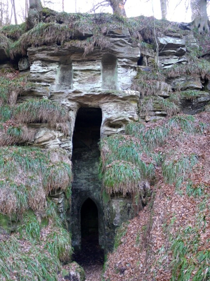 An image depicting the trail Hartburn Glebe and its surrounding area.