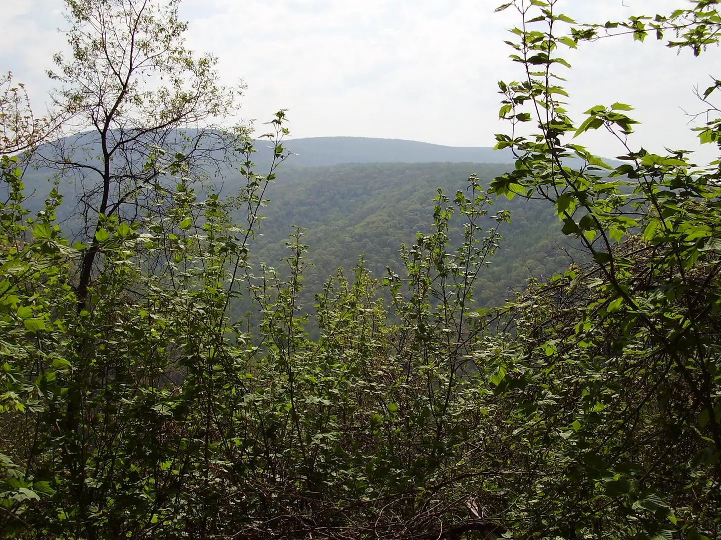 An image depicting the trail Lost Turkey Trail and its surrounding area.