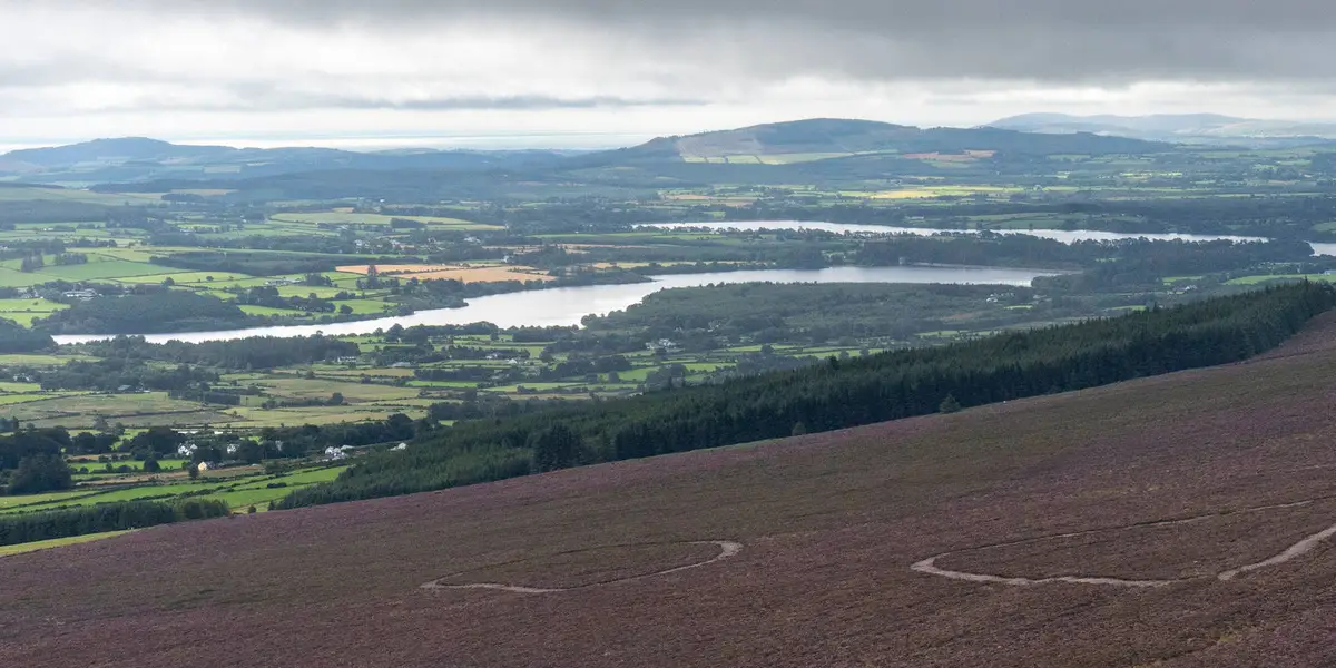Roundwood Reservoir Woodland Walk