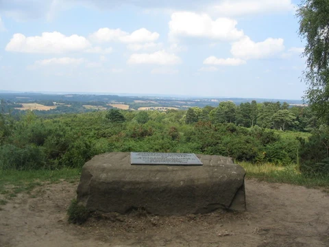 An image depicting the trail Five Hundred Acre Wood Short Loop and its surrounding area.