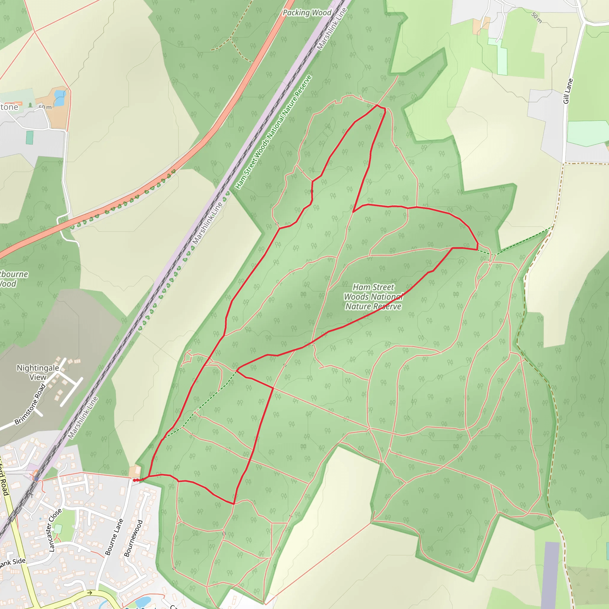 Ham Street Woods National Nature Reserve Short Loop mobile static map