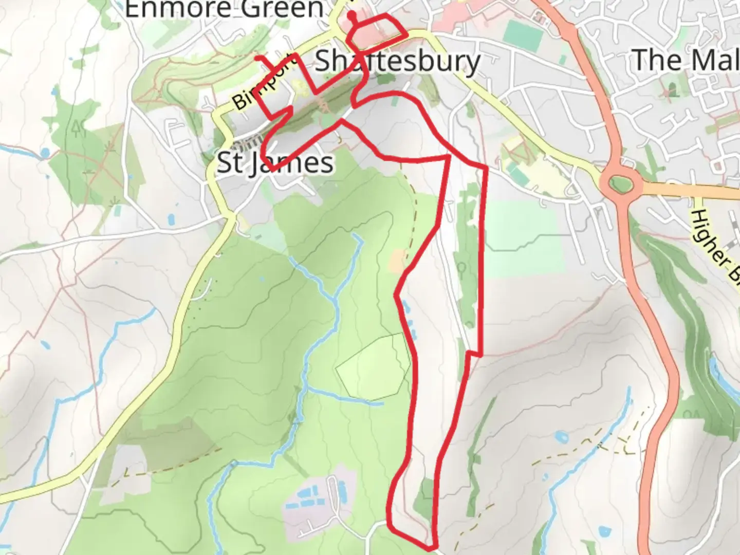 An image depicting the trail Shaftesbury and Holyrood Farm Campsite LoopLoop and its surrounding area.