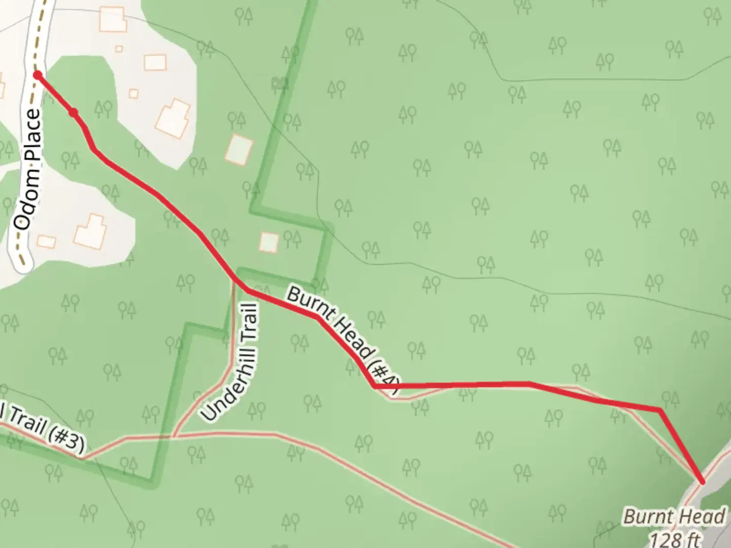 An image depicting the trail Burnt Head from Burnt Head Road and its surrounding area.