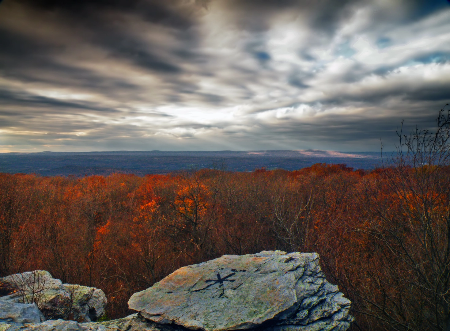 An image depicting the trail Wolf Rocks Loop Trail and its surrounding area.