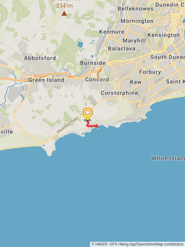 Tunnel Beach Track Dunedin City New Zealand