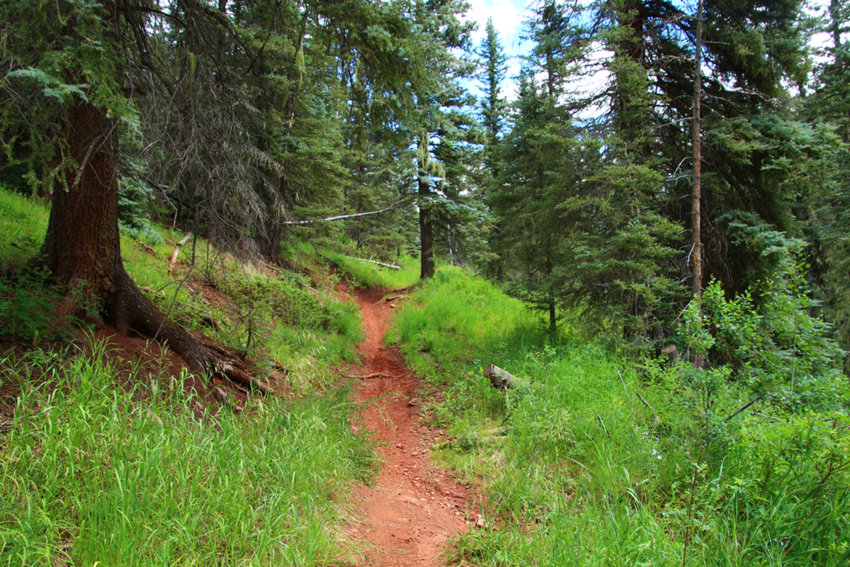Priest Cut Off Trail via Priest Gulch Trail