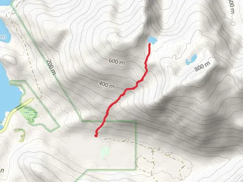 Nelson Logging Road Walk