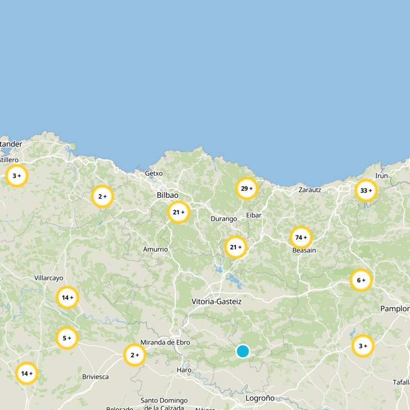 Amorebieta-Etxano Static Map