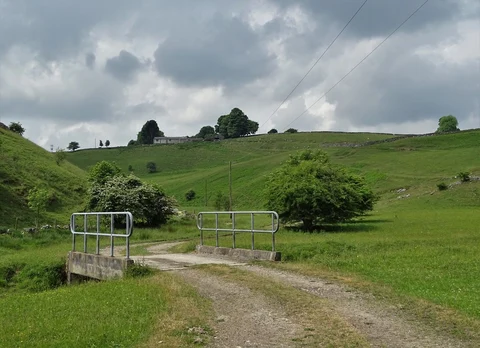 An image depicting the trail High Plantation and Countess Cliff Loop and its surrounding area.