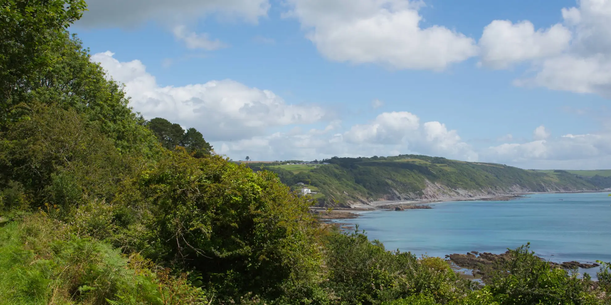 An image depicting the trail Millendreath and The Monkey Sanctuary Walk and its surrounding area.