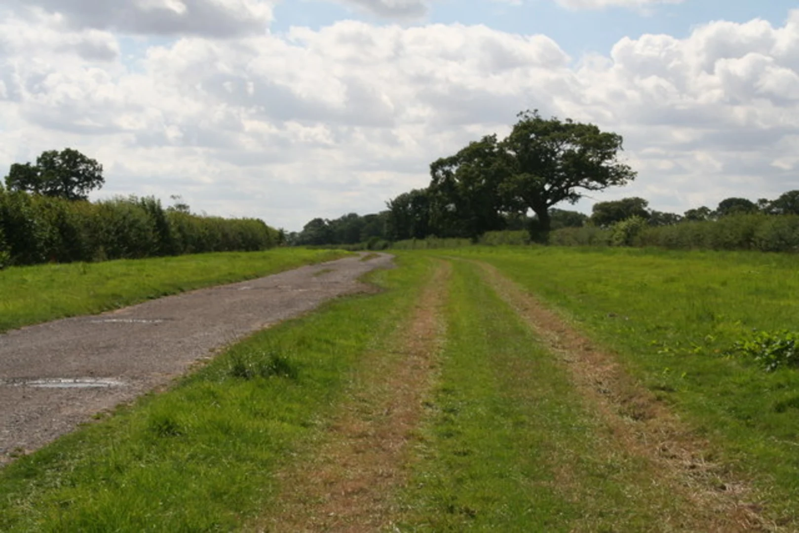 An image depicting the trail Bealey's Plantation Loop and its surrounding area.