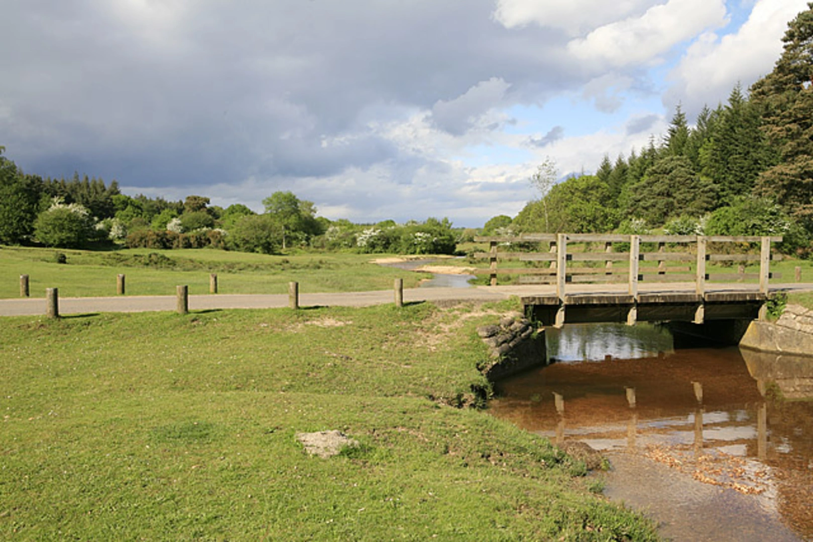 An image depicting the trail Great Linford Inclosure and its surrounding area.