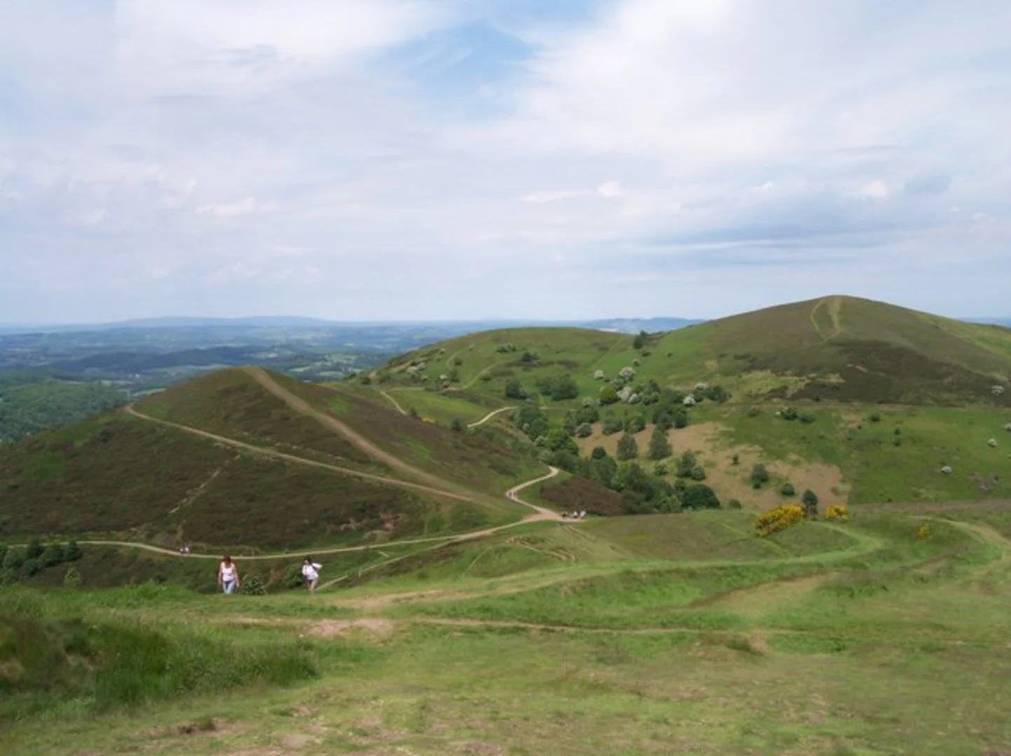 An image depicting the trail Table Hill and North Hill via N Way and its surrounding area.