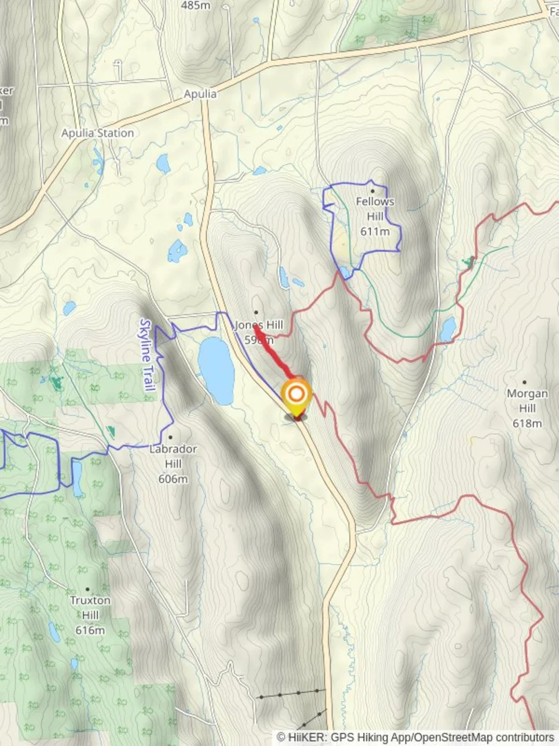 An image depicting the trail Jones Hill via Onondaga and Skyline Trail and its surrounding area.