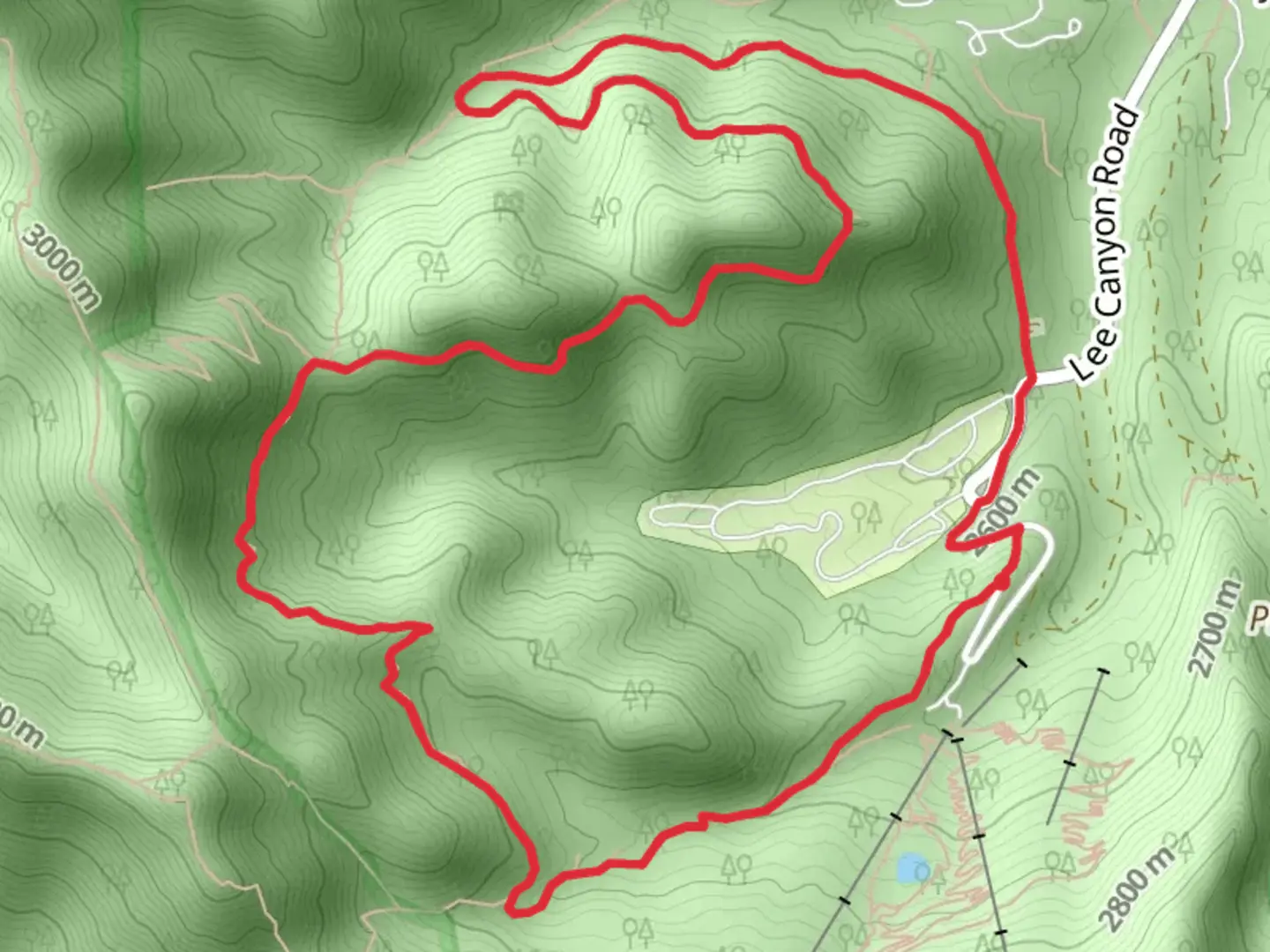 An image depicting the trail Upper-Lower Bristlecone Loop Trail and its surrounding area.