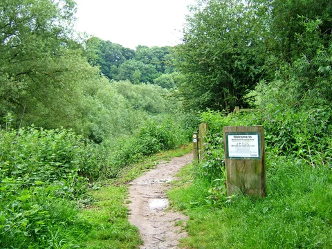 An image depicting the trail Stourport on Severn Loop via River Severn and its surrounding area.