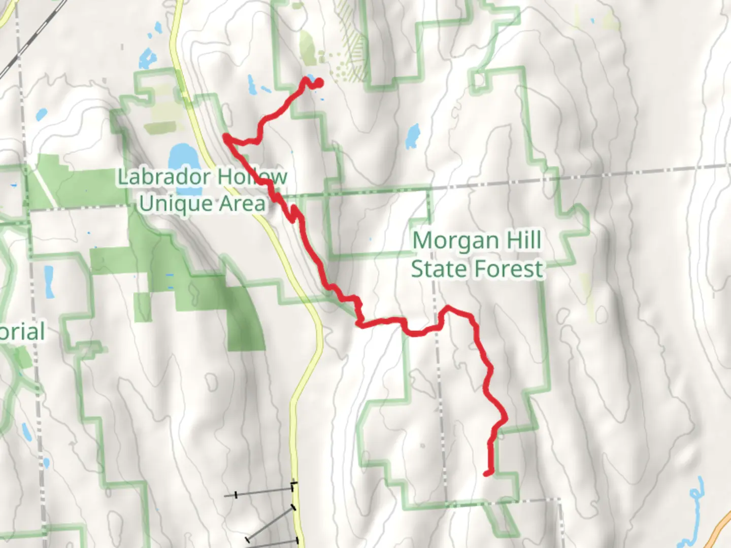 An image depicting the trail Jones Hill and Shackham Brook via Onondaga Trail and its surrounding area.