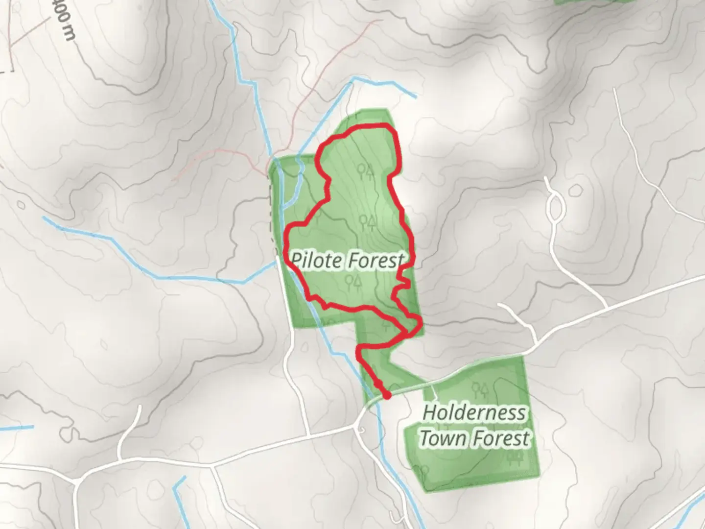 An image depicting the trail Town Forest North Loop - Beede Road and its surrounding area.