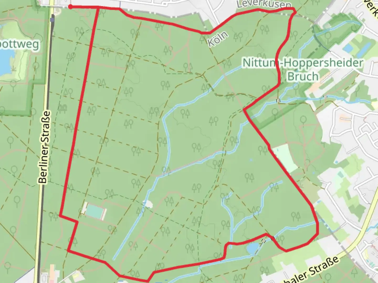 An image depicting the trail Dunnwalder Wald Loop and its surrounding area.