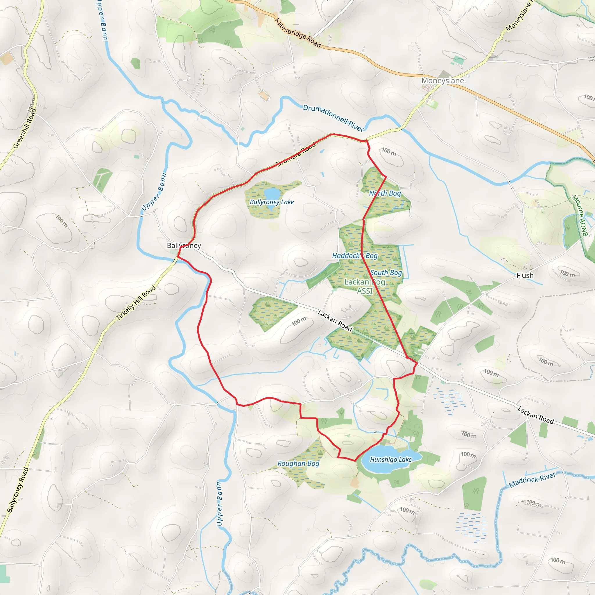 Flush Road to Annahinchigo Lake and Lackan Bog mobile static map